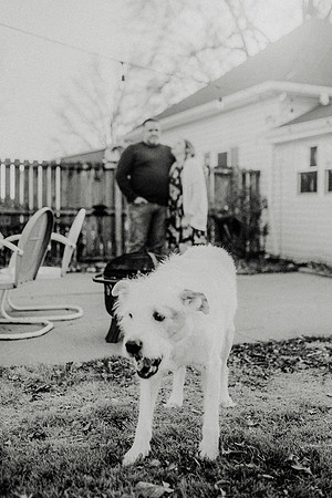 Gus-114