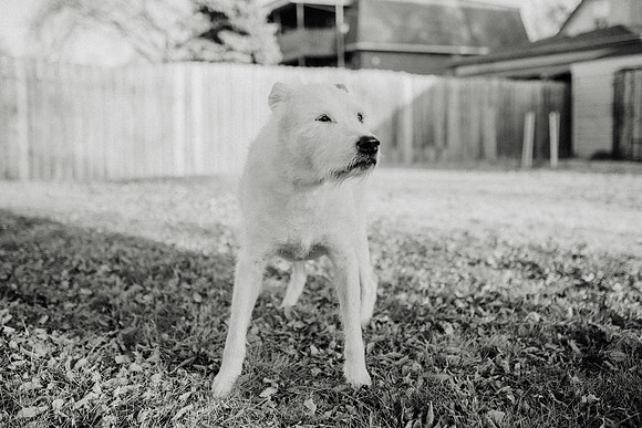 Gus-125
