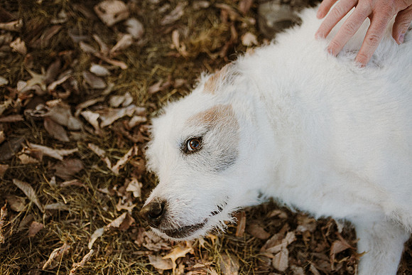 Gus-57