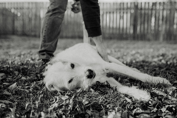 Gus-161