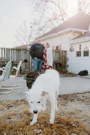 Gus-6