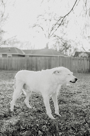 Gus-119