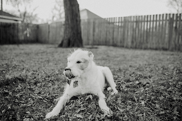 Gus-206