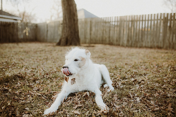 Gus-99