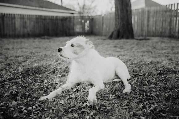 Gus-191