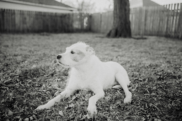 Gus-190
