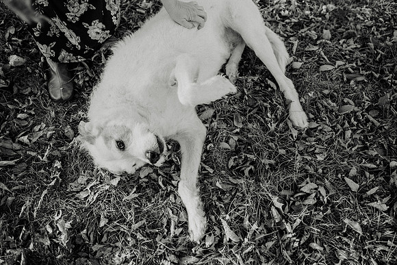Gus-154