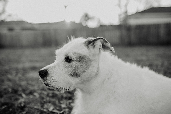Gus-202