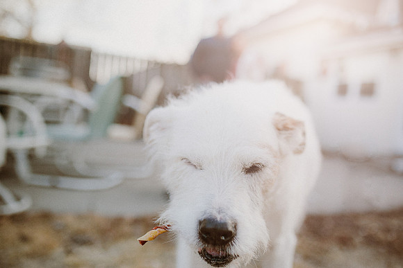 Gus-9