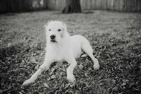 Gus-192