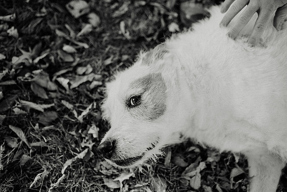 Gus-164