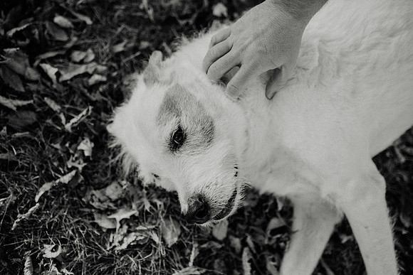 Gus-167