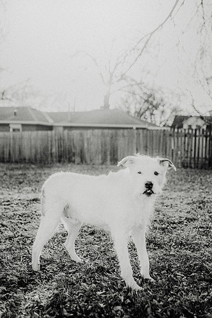 Gus-118