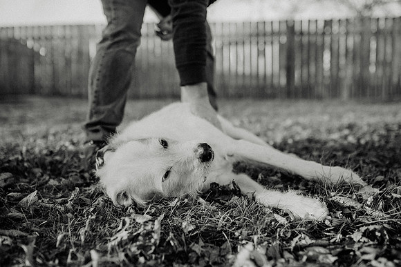 Gus-160