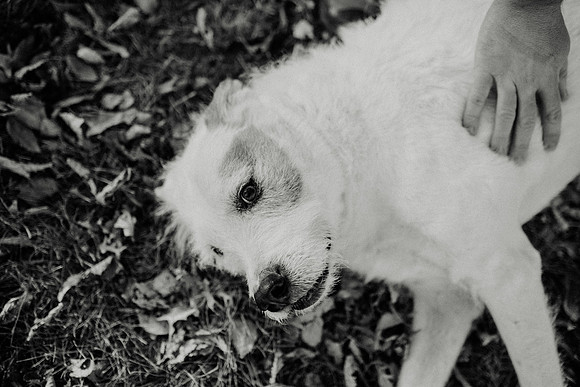 Gus-166