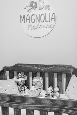 xMagnolia 6mth-164