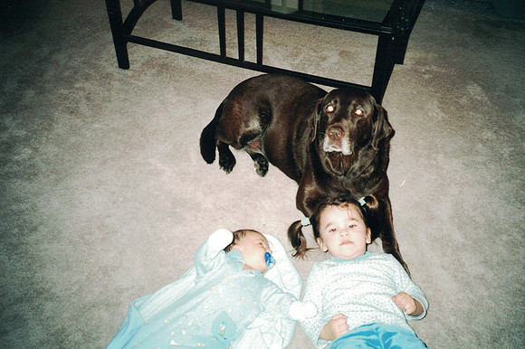 Scan 7