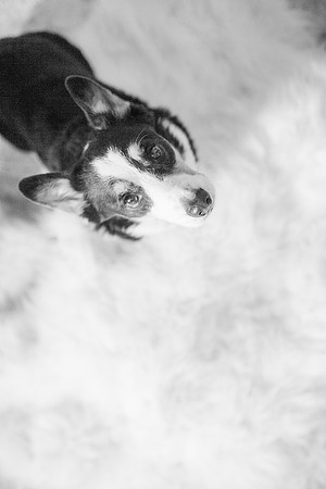 xLucy NB-201