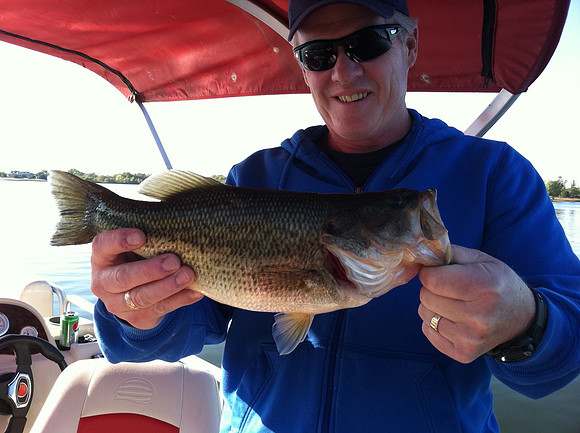dadfish