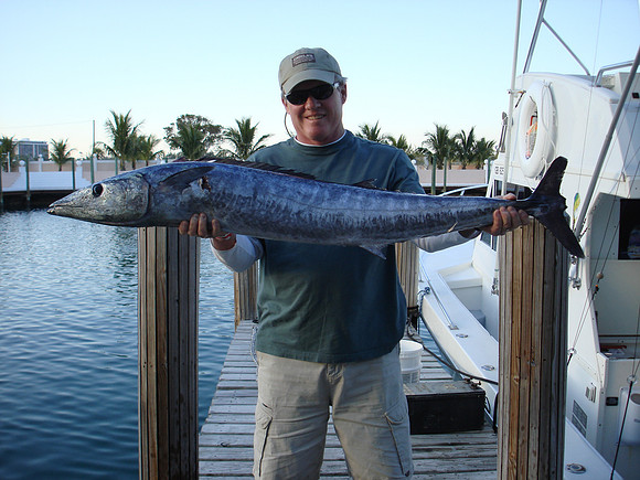 dadbig fish