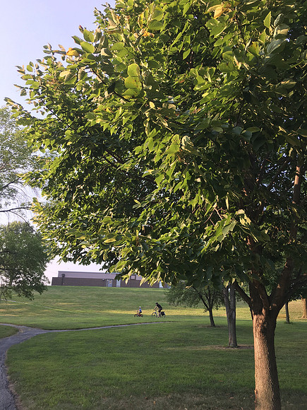IMG_0058