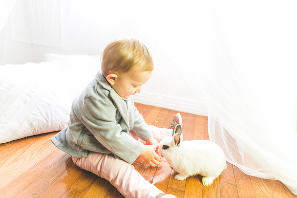 Bunnies 2019-35