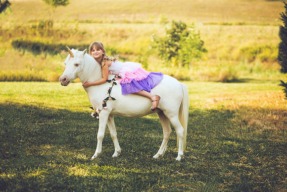 Unicorn-13
