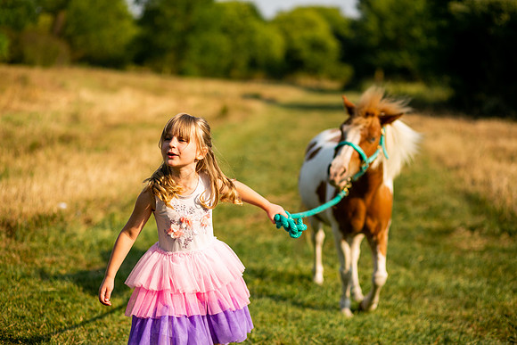 Unicorn-25