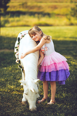 Unicorn-6