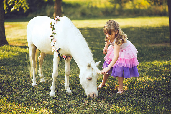 Unicorn-4