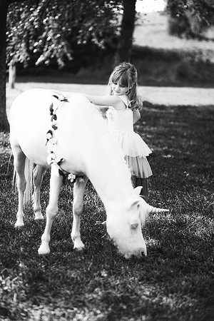 xUnicorn-3