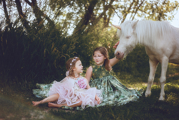 Unicorn-6