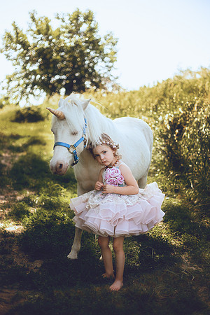 Unicorn-12