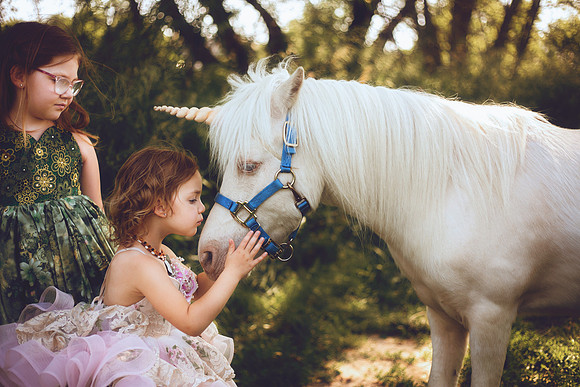 Unicorn-43