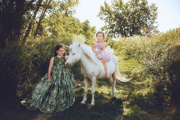 Unicorn-37