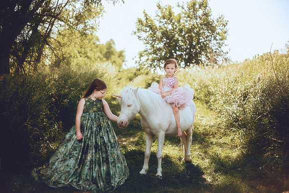 Unicorn-33