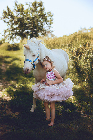 Unicorn-11