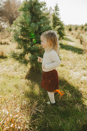Tree Farm 2023-63