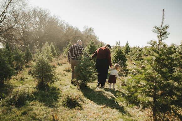 Tree Farm 2023-49