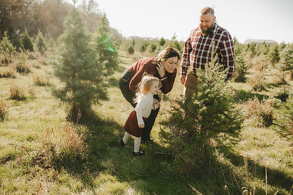 Tree Farm 2023-50
