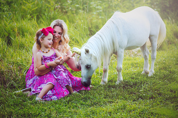 Unicorn-12