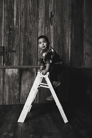 Sebastian 2yr-14b&w
