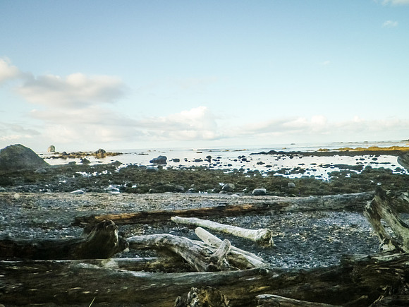 Seattle 2018-44