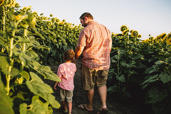 Sunflower 2023-28