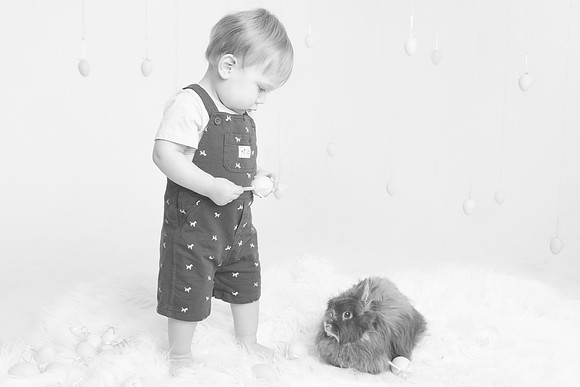 Toby-Bunny-2016-46