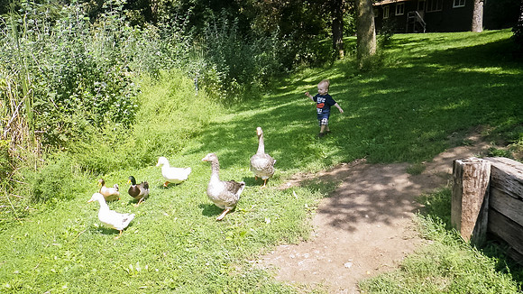 Photos-82
