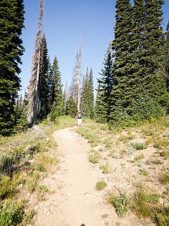 Photos-15