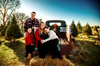 Tree Farm 2025-4