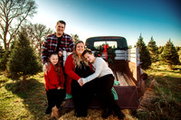 Tree Farm 2025-2