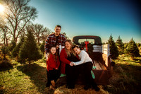 Tree Farm 2025-11